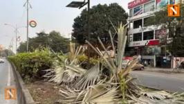 Shubharambh Advertising Company Operator Arrested For Cutting 562 Trees For Ads Visibility
								